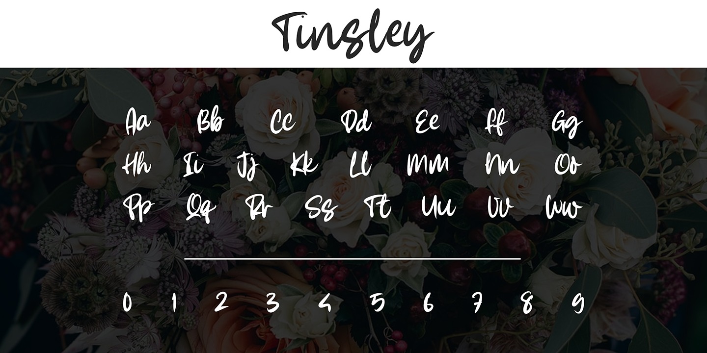 Tinsley Regular Font preview